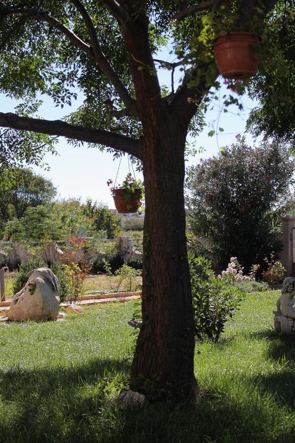 Apartments For Families With Children Privlaka, Zadar - 5747 Esterno foto